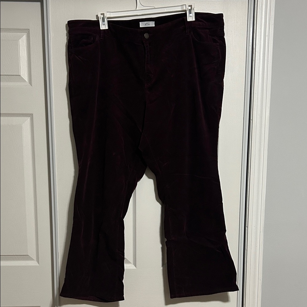 LOFT Women’s Corduroy Pants in Purple